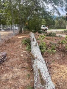 WhatsApp Image 2026-03-06 at 2.15.01 PM