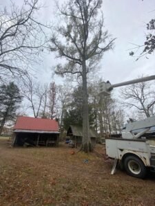 WhatsApp Image 2026-03-10 at 1.12.52 PM