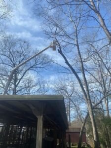 WhatsApp Image 2026-03-10 at 1.12.54 PM