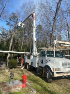 WhatsApp Image 2026-03-10 at 1.12.54 PM(1)