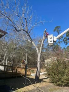 WhatsApp Image 2026-03-10 at 1.12.55 PM