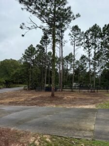 WhatsApp Image 2026-03-10 at 2.23.10 PM