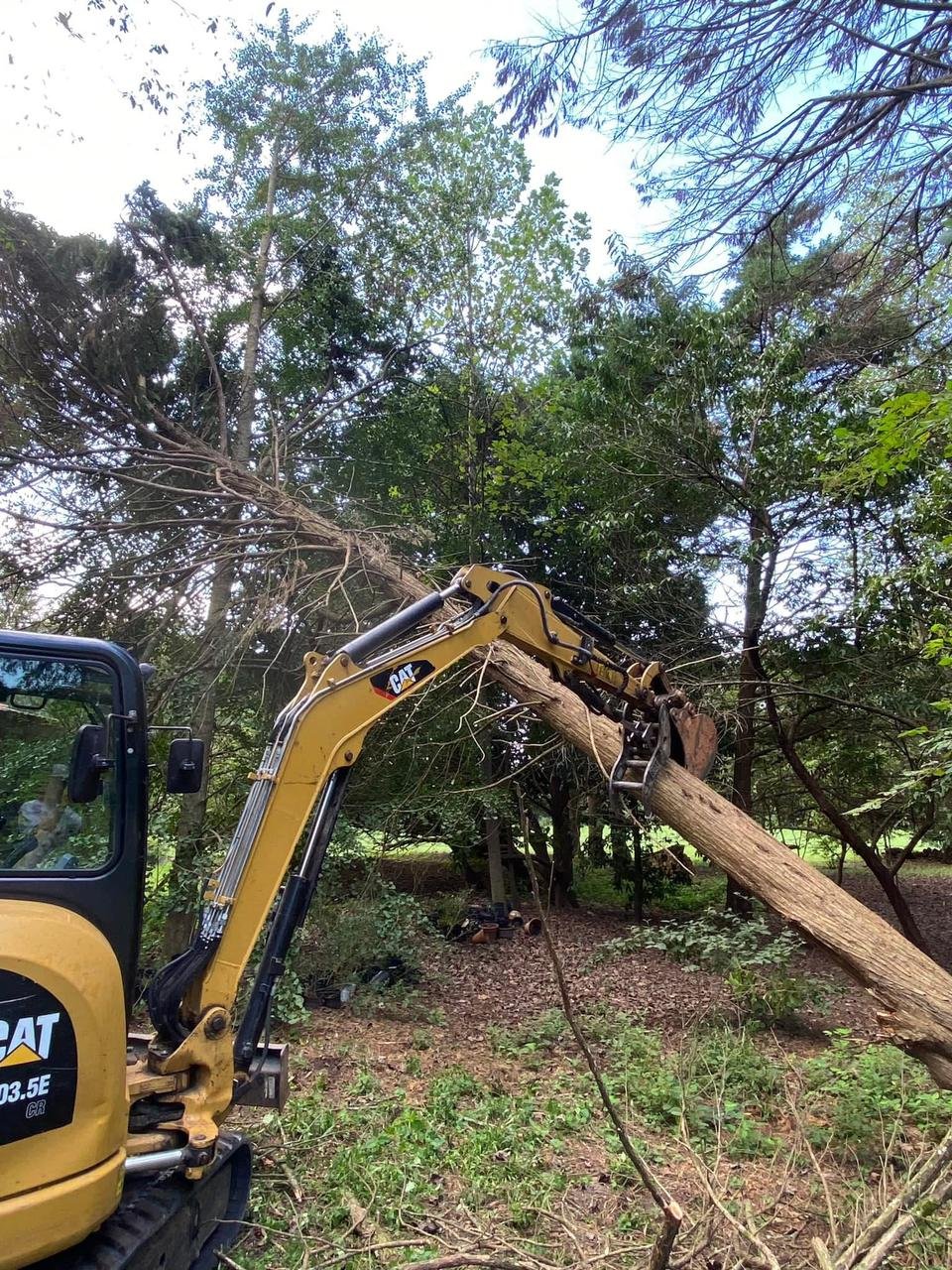 WhatsApp Image 2026-03-10 at 5.34.35 PM