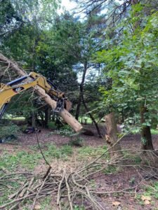 WhatsApp Image 2026-03-10 at 5.34.38 PM(1)