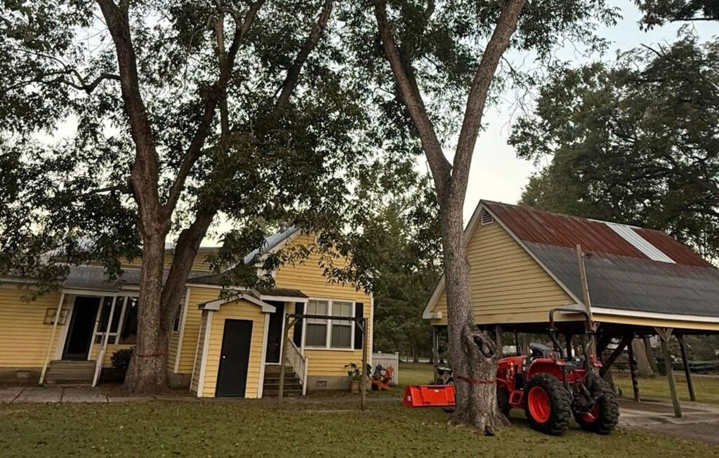 Tree Removal Service & Excavation Services in Batesburg- Leesville, SC. | AJP Services LLC | Best Tree Removal in Batesburg- Leesville, SC